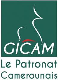 Logo Gicam